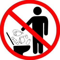 nu_arunca_in_WC